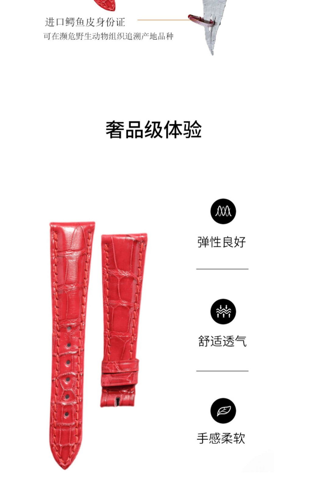 Compatible with Patek Philippe 4947 Complicated Chronograph, 19mm ALLIGATOR leather quick-release watch strap for women, genuine American ALLIGATOR, original style with notched end.