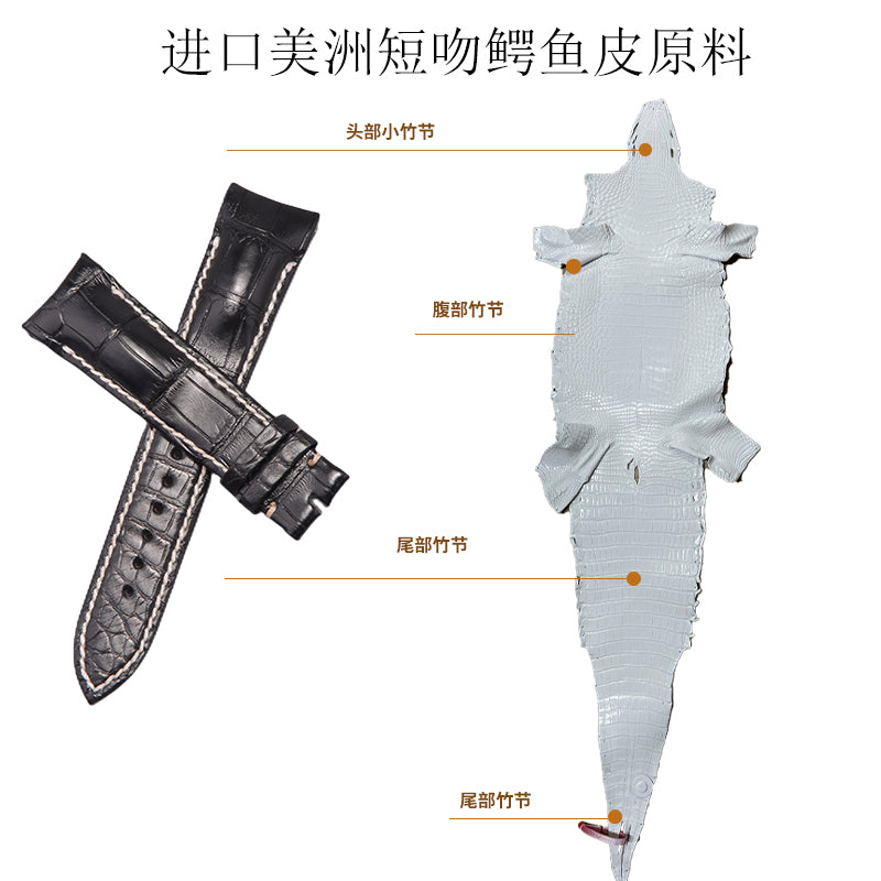 Compatible with Breguet 3810, TYPE 3817 & 3815, ALLIGATOR leather watch strap